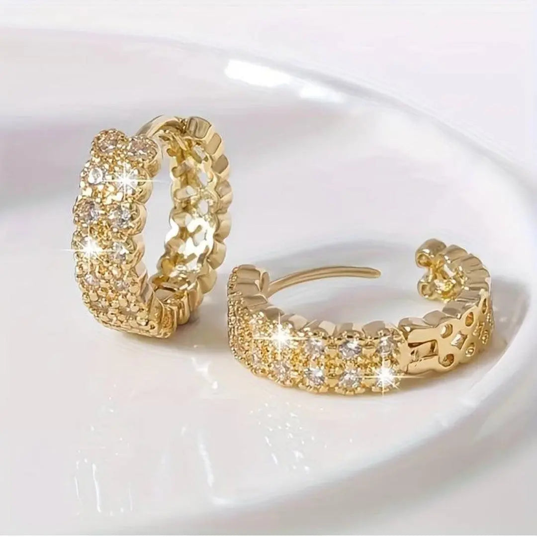 Elegant Brilliant Noble Earrings