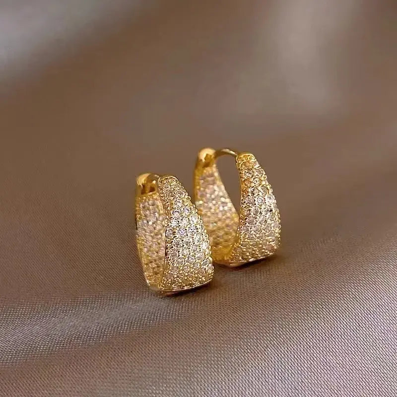 Elegant, shiny basket earrings